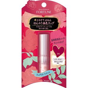 코세 코스 메 포트 (주) 포춘 RH 립 컬러 트리트먼트 04 레이디 보르도 3.4g