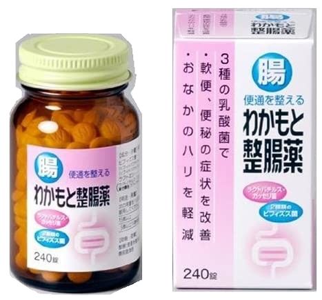 와카모토 제약 (주) 와카모토 정장 약 240 정
